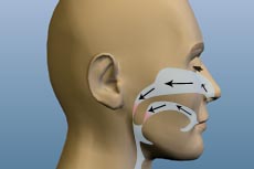 Sleep Apnea, Apnea, Bakersfield CA